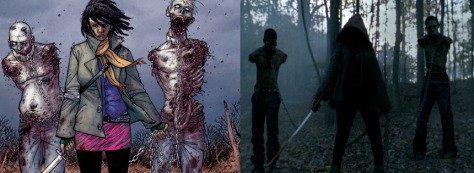 The Walking Dead's Michonne: Comic Vs. Show Version
